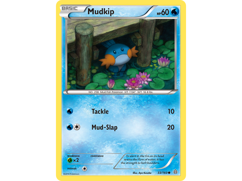 Mudkip (Reverse Holo)