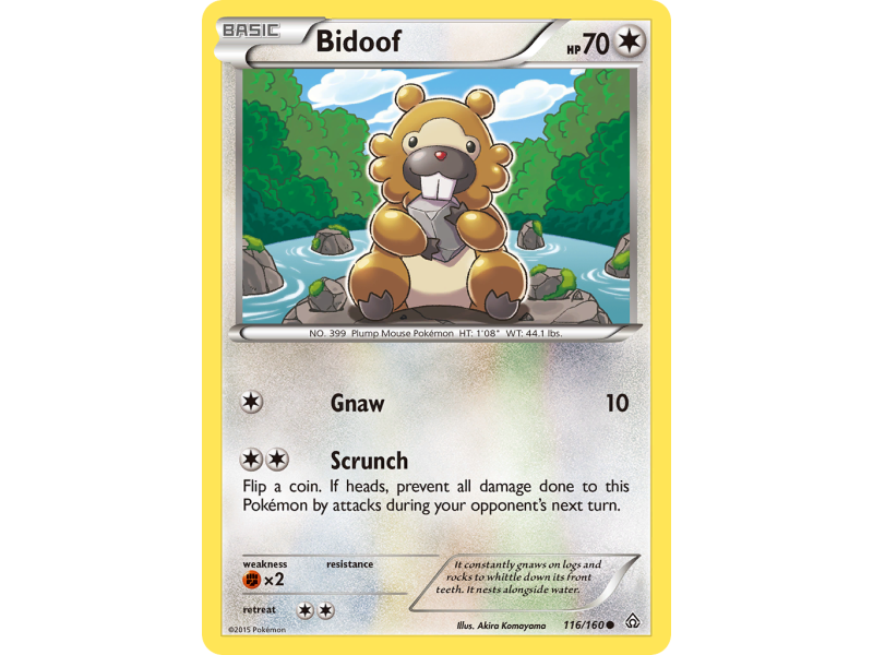 Bidoof