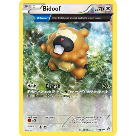 Bidoof (Reverse Holo)
