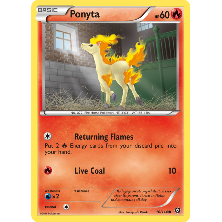 Ponyta