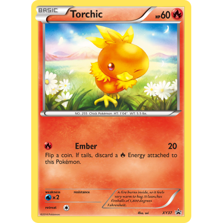 Torchic