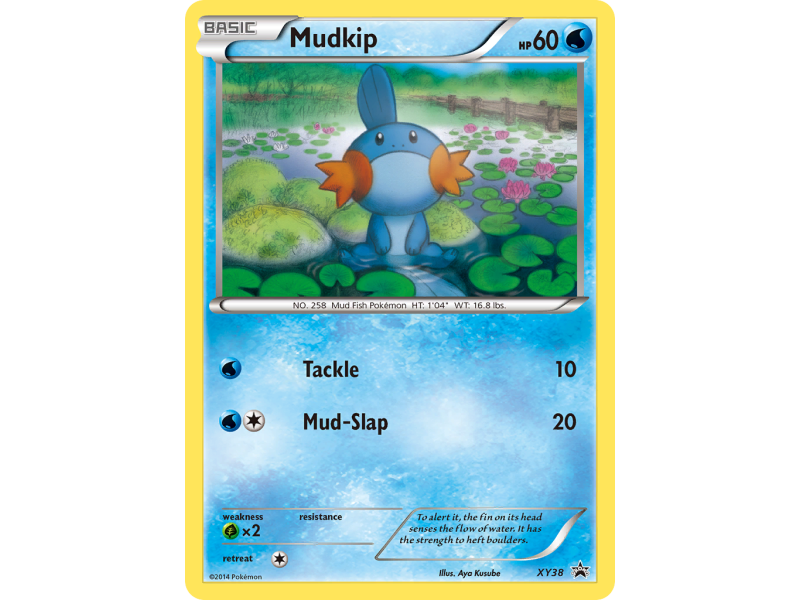 Mudkip