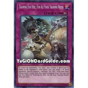 Training Fur Hire, Fur All Your Training Needs (Super Rare) – Dark Saviors | Carta YUGIOH en México
